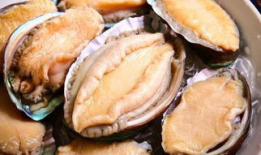 鲍鱼视频,视频带你领略海洋珍馐的魅力